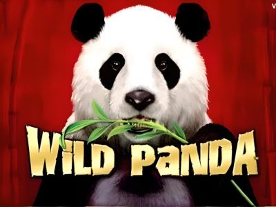 Wild Panda